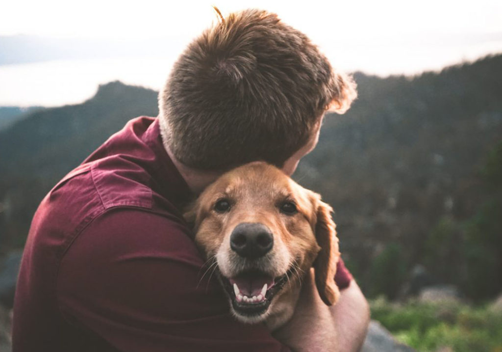 Tumor em cães - Golden Retriver sendo abraçado pelo dono