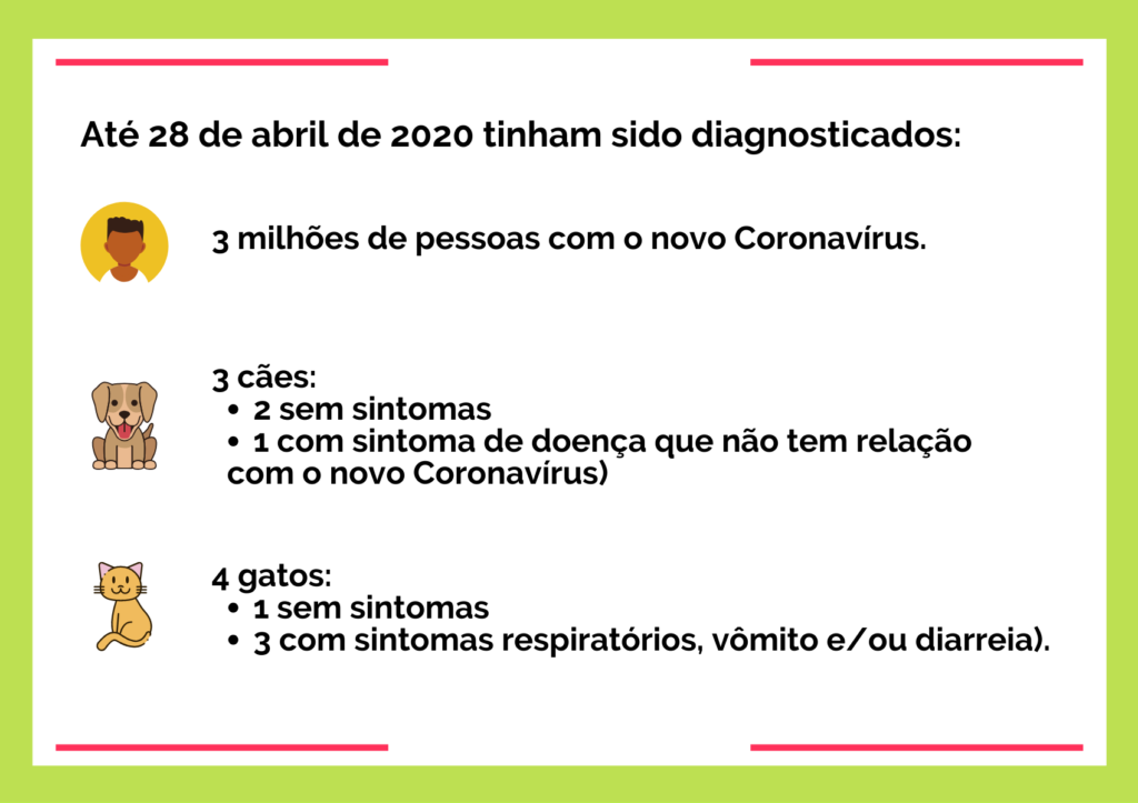 contágio de coronavírus: até o dia 28/04/20 foram diagnosticados 3 milhões de pessoas com a doença, 3 cães (2 sem sintomas e 1 com sintomas, mas não da doença) e 4 gatos (1 sem sintomas e 3 com sintomas respiratórios, vômito e/ou diarreia)