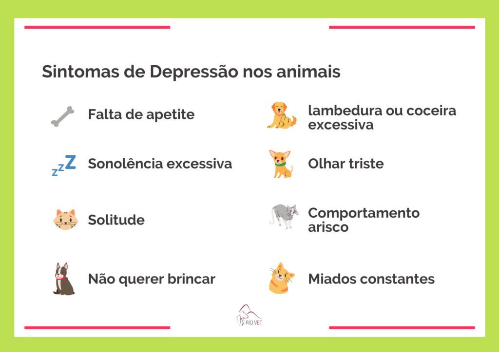 Sintomas da depressão em cães e gatos: falta de apetite, sonolência, solitude, lembedura e coceira, olhar triste, arisco, miados constantes