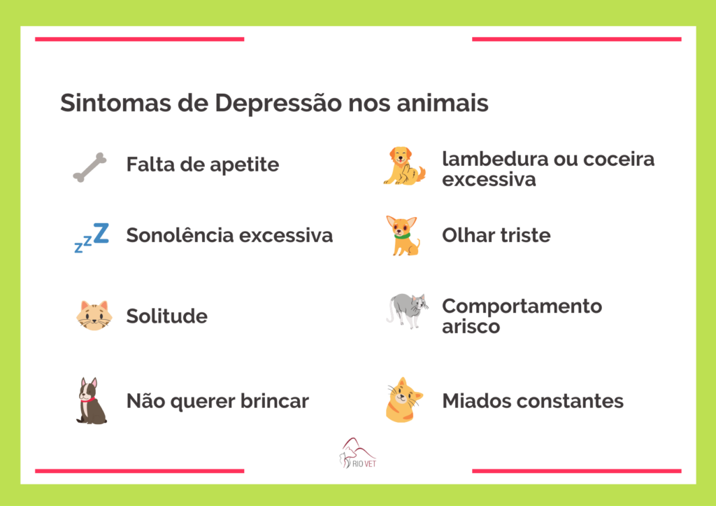 Sintomas da depressão em cães e gatos: falta de apetite, sonolência, solitude, lembedura e coceira, olhar triste, arisco, miados constantes