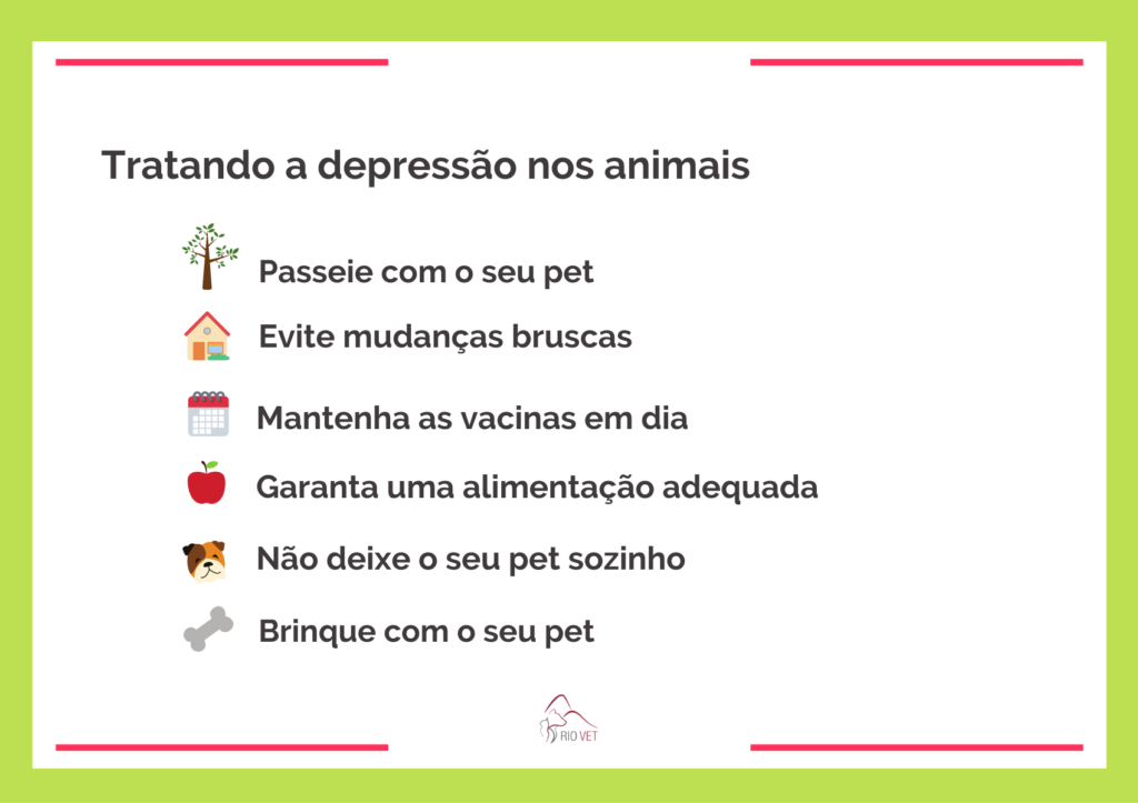 como prevenir e tratar a depressão em cães e gatos
