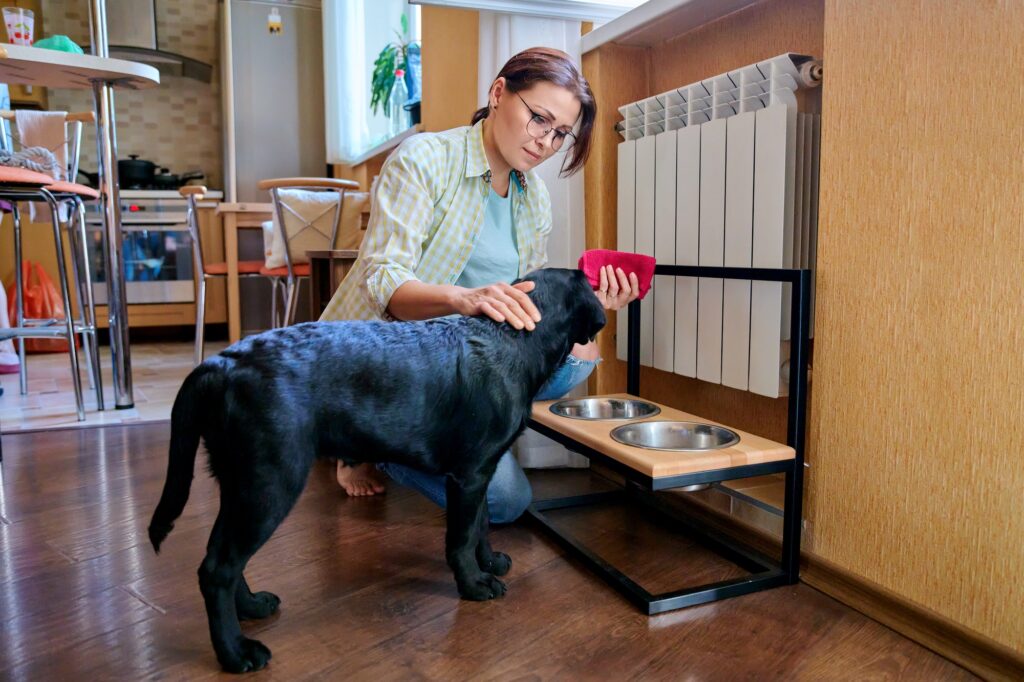 Middle aged woman and pet dog at home in kitchen interior